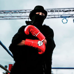 Meet your Posher, Robin